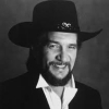 Waylon Jennings 