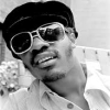 Stevie Wonder
