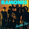 Animal Boy