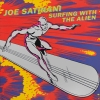 Surfing With The Alien