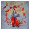 Band of Joy Robert