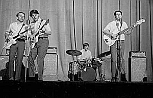 The Beach Boys (1965)